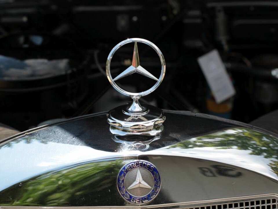 Image 19/22 of Mercedes-Benz 220 Cabriolet A (1954)