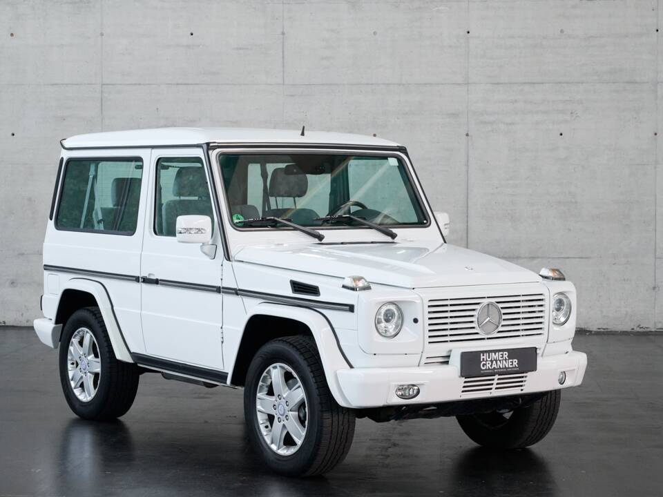 Bild 24/50 von Mercedes-Benz G 500 (kurz) (2007)