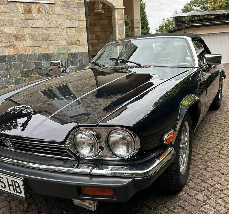 Image 5/8 de Jaguar XJS 5.3 V12 (1989)