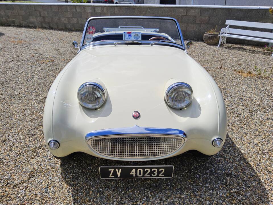 Image 2/32 of Austin-Healey Sprite Mk I (1959)