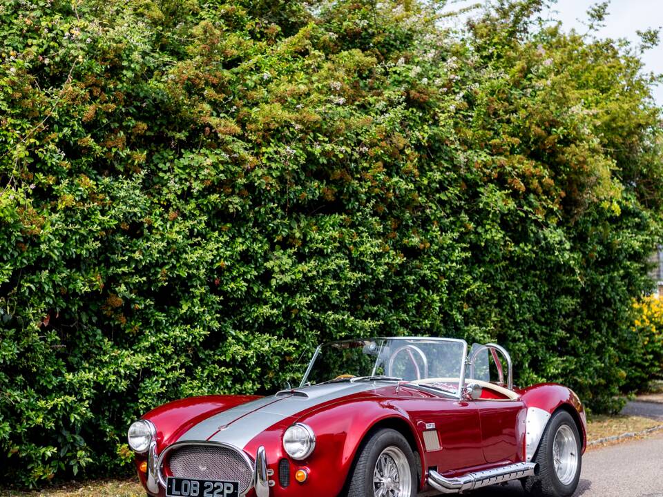 Bild 34/50 von Dax Cobra (1976)