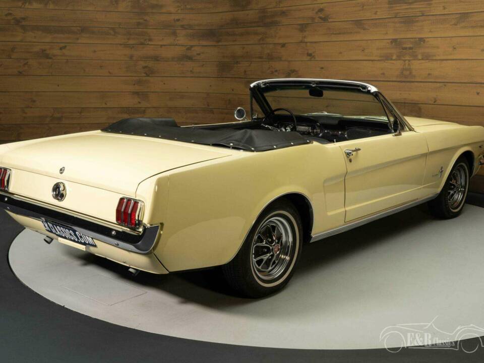 Image 10/19 of Ford Mustang 289 (1965)