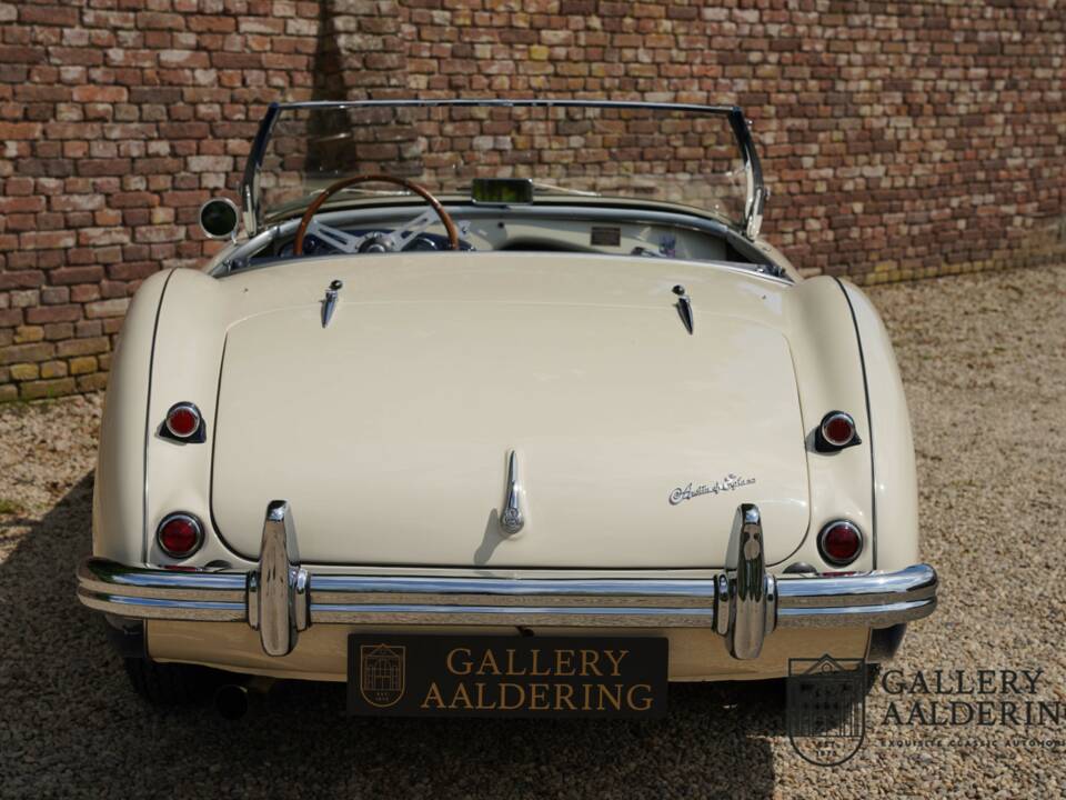 Immagine 6/50 di Austin-Healey 100/4 (BN1) (1954)