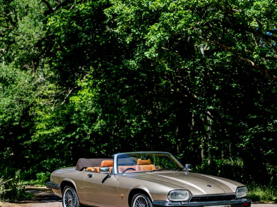 Afbeelding 16/50 van Jaguar XJS 6.0 V12 (1992)