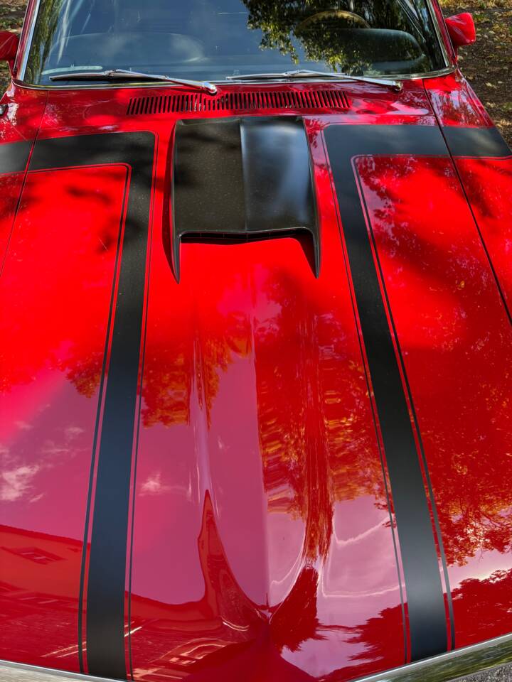 Bild 23/32 von Ford Mustang Boss 302 (1970)