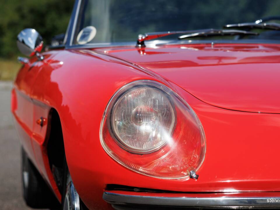 Afbeelding 15/37 van Alfa Romeo 1600 Spider Duetto (1966)