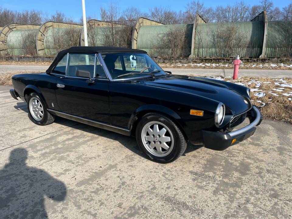 Bild 15/24 von FIAT Spider 2000 (1981)