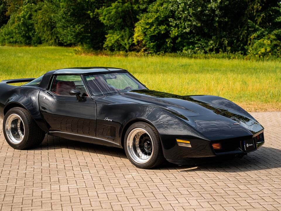 Immagine 13/42 di Chevrolet Corvette Sting Ray (1980)