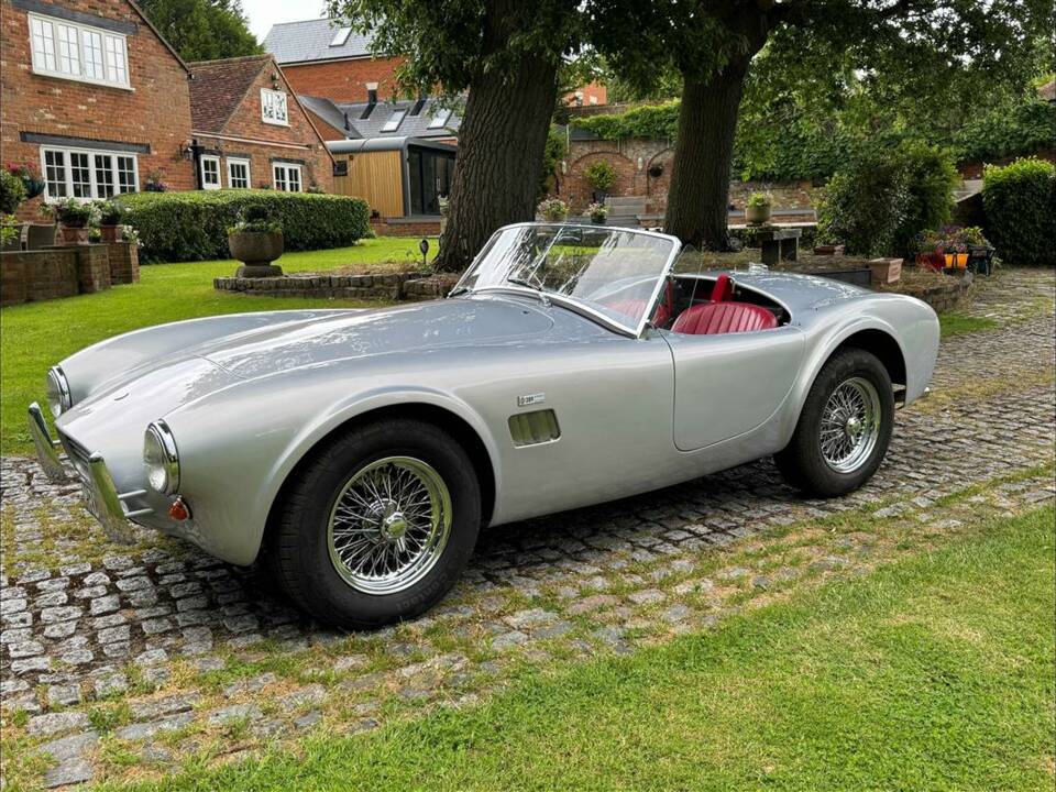 Bild 3/24 von AC Cobra 289 (2001)