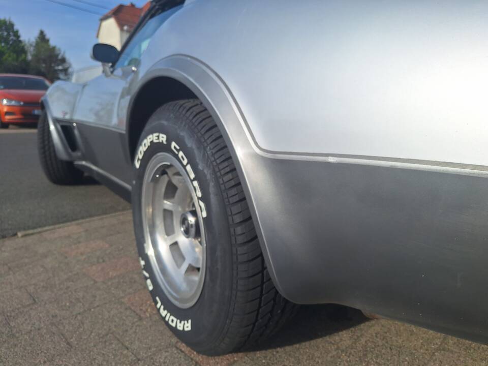 Image 9/82 of Chevrolet Corvette 25th Anniversary (1978)