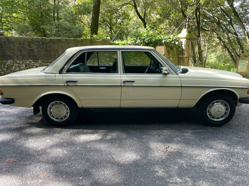 Bild 53/73 von Mercedes-Benz 300 D (1977)
