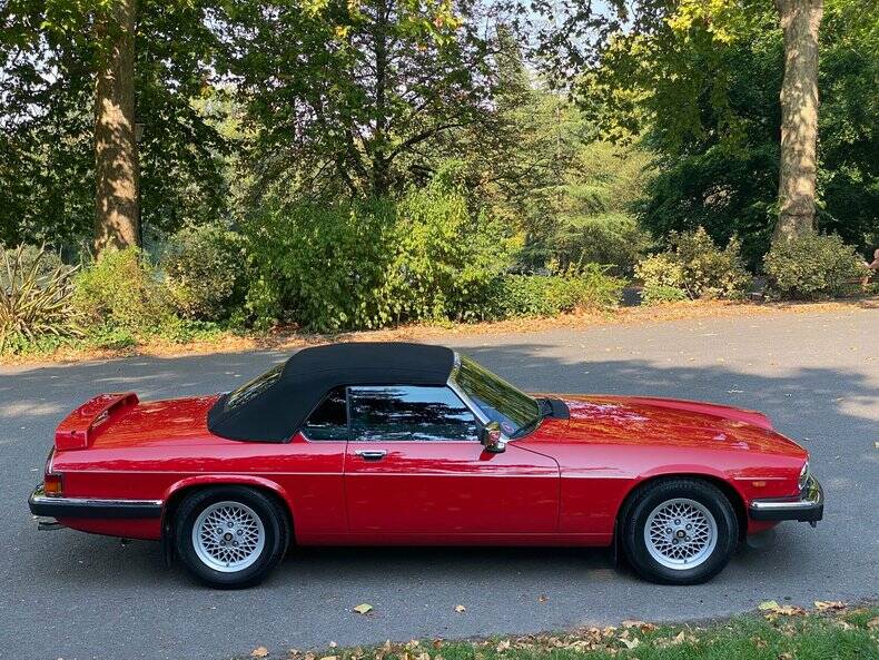 Image 4/50 of Jaguar XJ-S Convertible (1988)