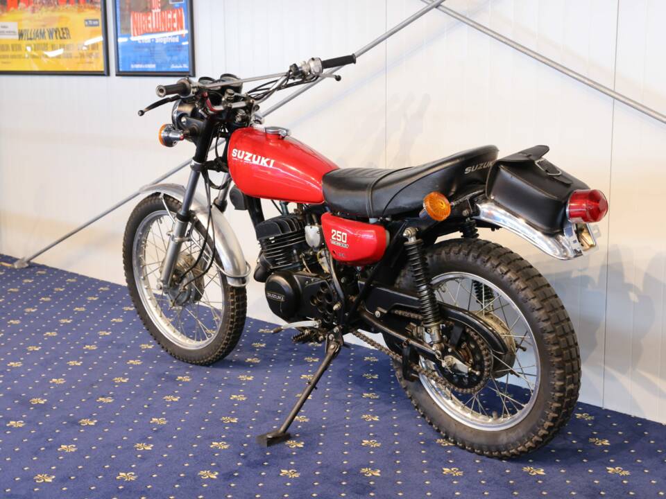 Immagine 15/23 di Suzuki TS 250 (1900)