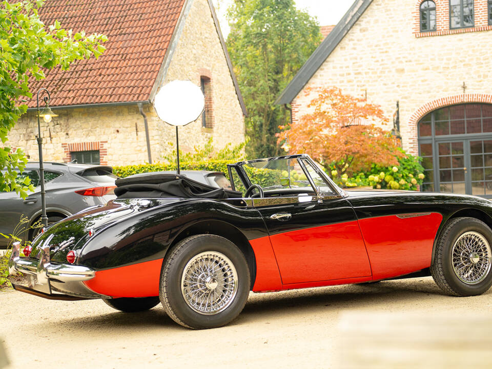 Immagine 6/62 di Austin-Healey 3000 Mk III (BJ8) (1965)