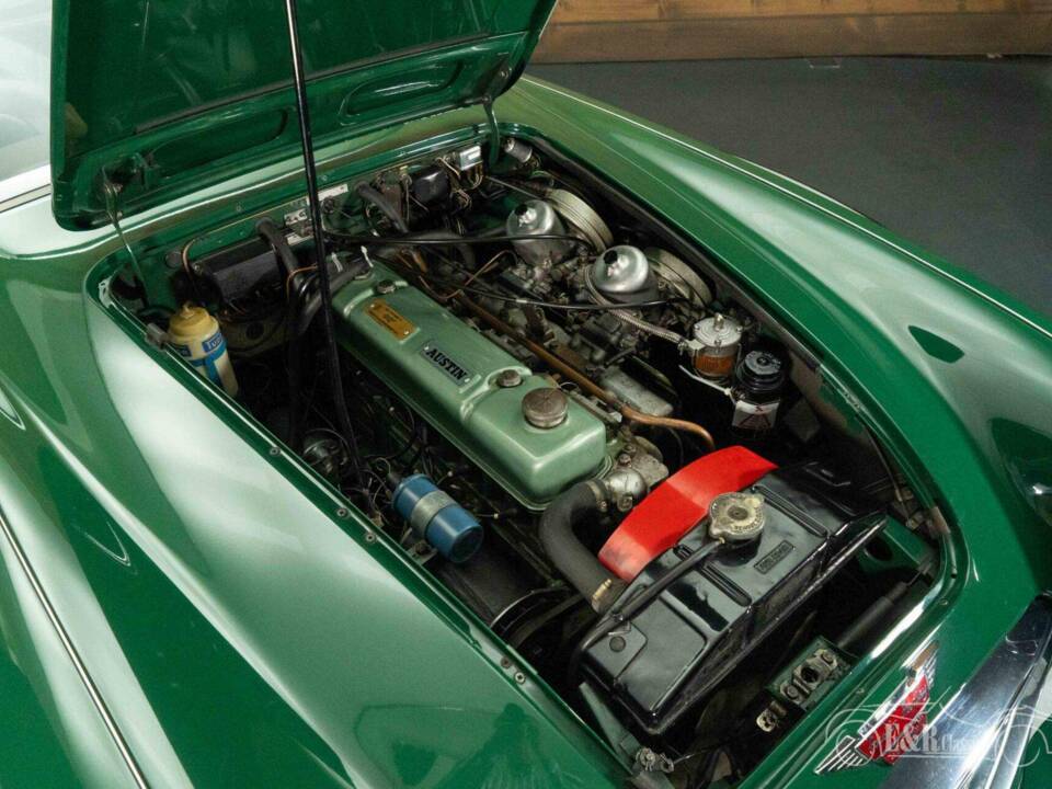 Imagen 8/19 de Austin-Healey 3000 Mk III (BJ8) (1965)