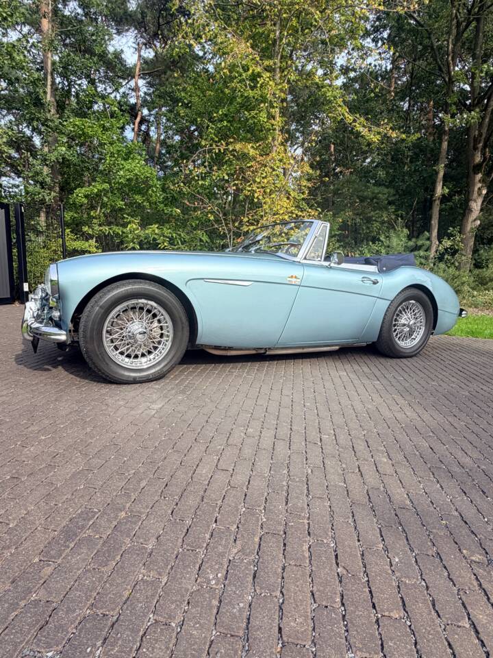 Afbeelding 2/21 van Austin-Healey 3000 Mk II (BJ7) (1963)