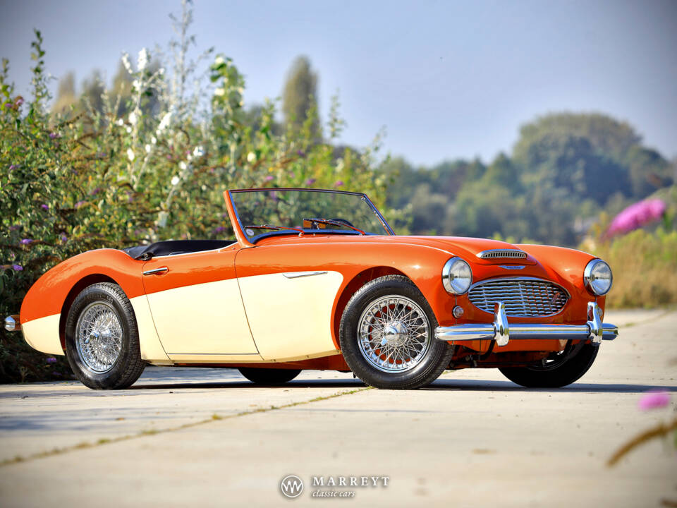 Immagine 8/40 di Austin-Healey 3000 Mk I (BN7) (1959)