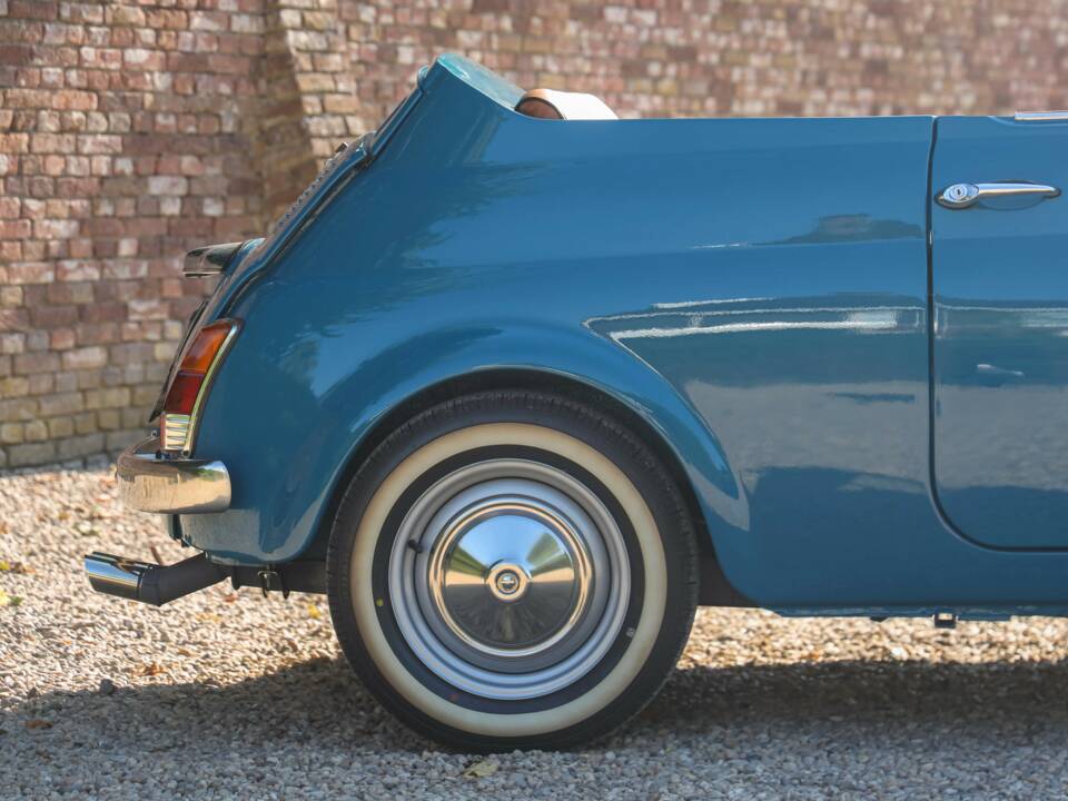 Bild 26/50 von FIAT 500 Moretti Minimaxi (1973)