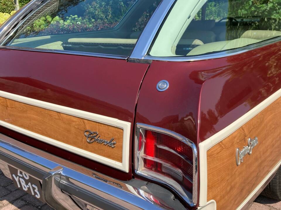 Bild 12/35 von Chevrolet Caprice Estate (1973)