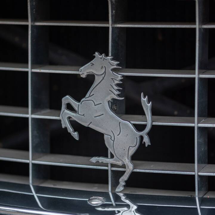 Bild 11/50 von Ferrari 250 GT/E (1963)