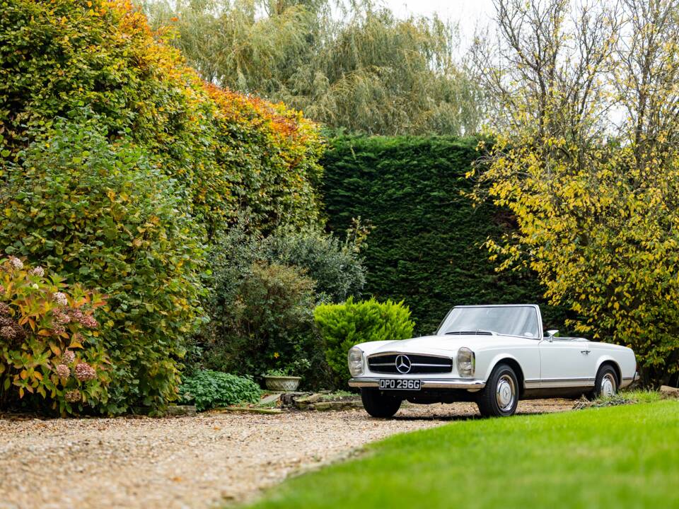 Image 28/50 of Mercedes-Benz 280 SL (1968)