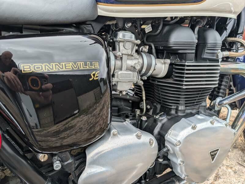 Bild 12/24 von Triumph DUMMY (2009)