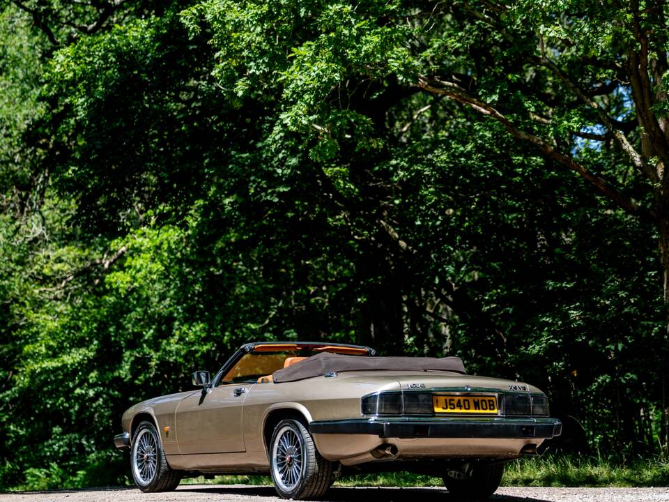 Afbeelding 9/50 van Jaguar XJS 6.0 V12 (1992)