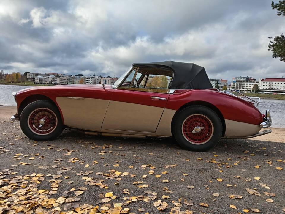 Immagine 6/23 di Austin-Healey 3000 Mk II (BJ7) (1964)