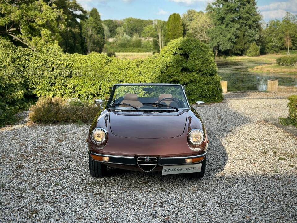 Image 14/100 of Alfa Romeo 2000 Spider Veloce (1980)