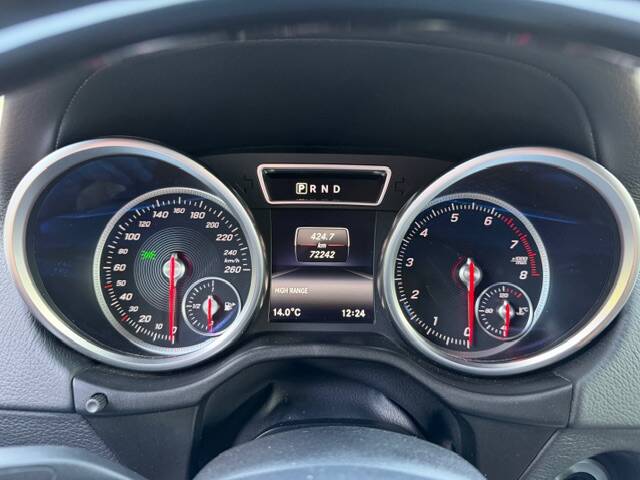 Image 12/24 of Mercedes-Benz G 500 (LWB) (2016)