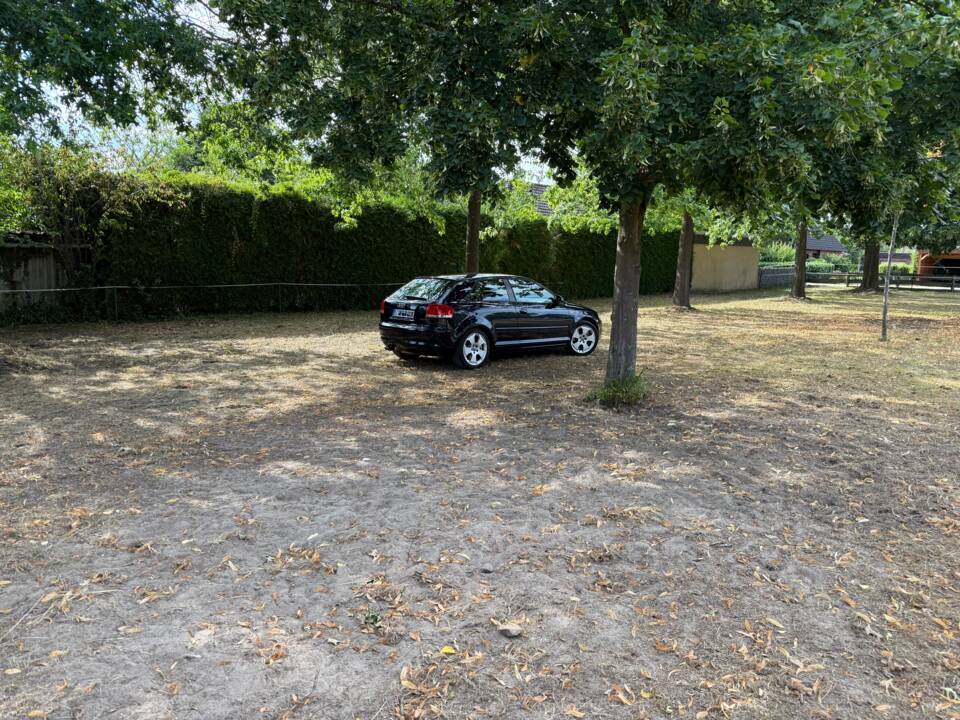 Image 11/23 of Audi A3 3.2 (2004)