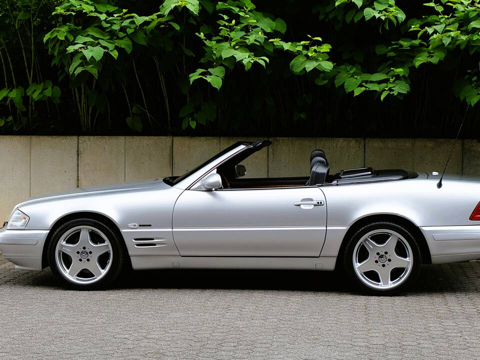 Bild 11/63 von Mercedes-Benz SL 320 &quot;Final Edition&quot; (2001)
