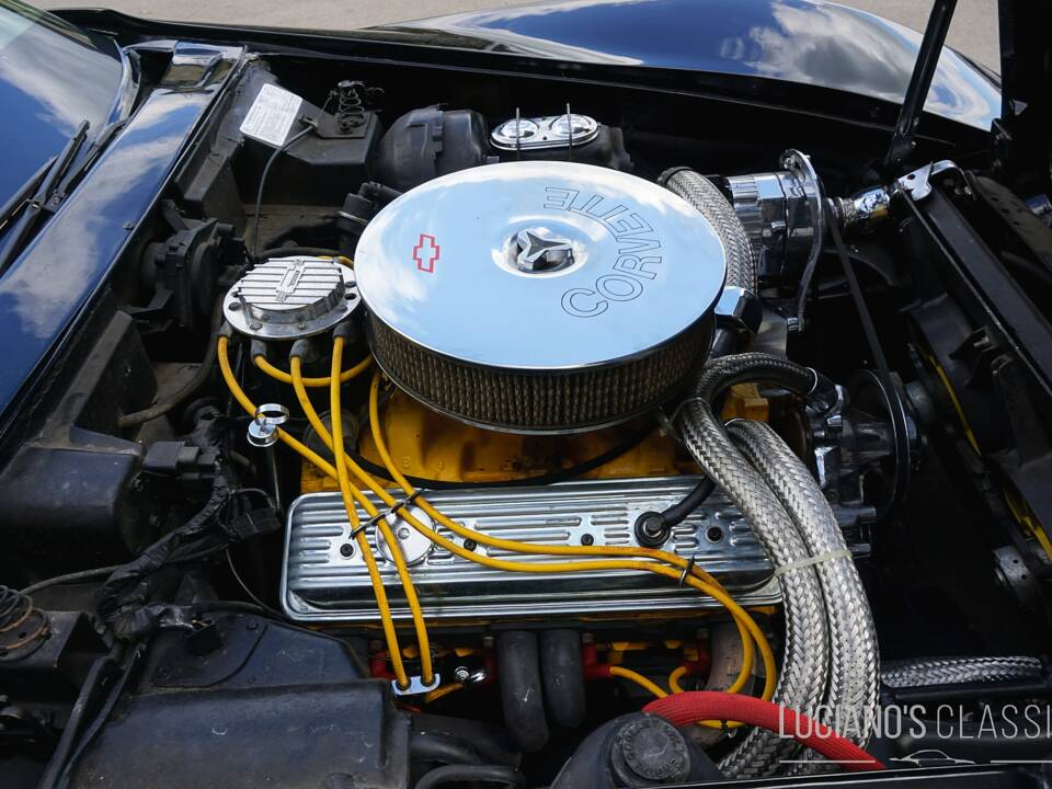 Bild 50/58 von Chevrolet Corvette Sting Ray (1979)