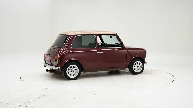 Bild 2/15 von Mini 1000 (1990)