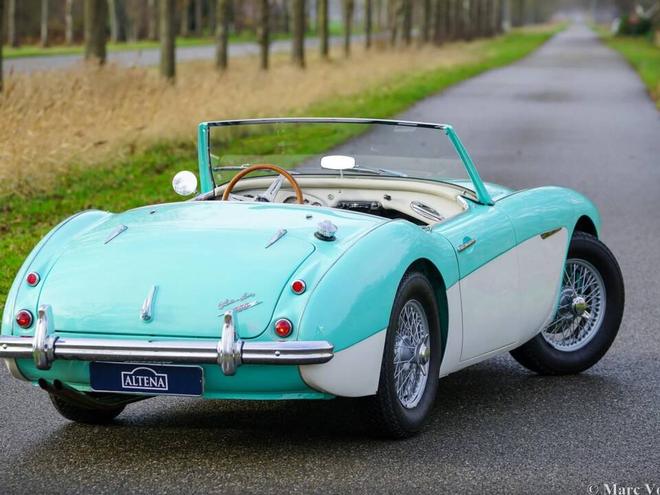 Immagine 44/48 di Austin-Healey 3000 Mk I (BN7) (1960)