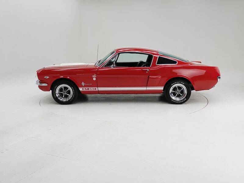 Image 8/15 of Ford Shelby GT 350 (1965)