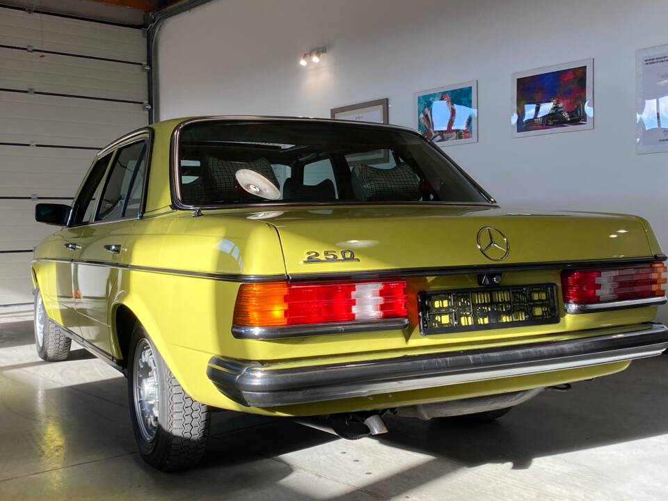 Bild 38/71 von Mercedes-Benz 250 (1979)