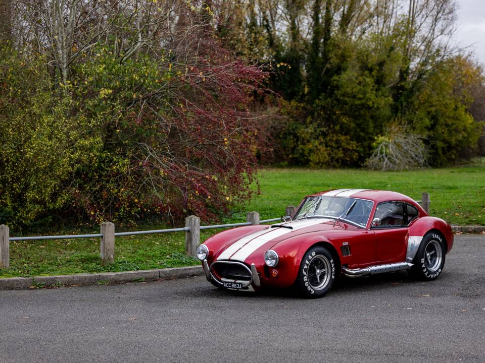 Afbeelding 23/50 van AC Cobra 289 (2000)