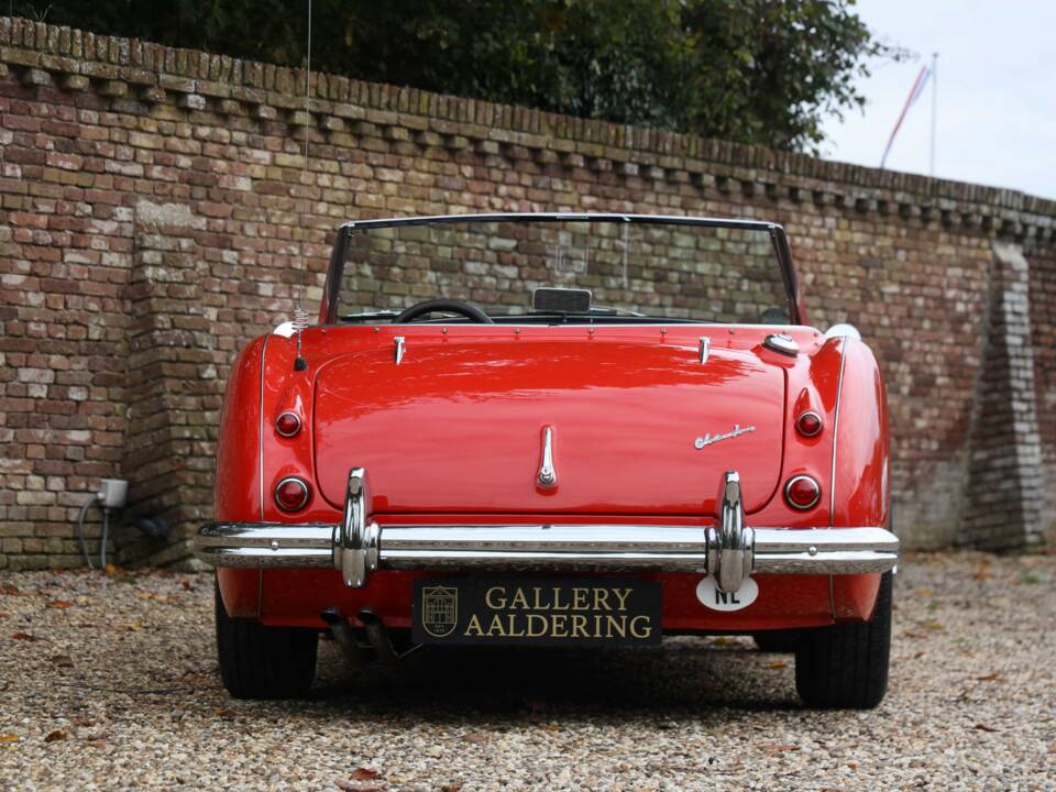 Image 6/50 de Austin-Healey 100/6 (BN4) (1959)