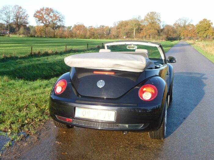 Bild 5/7 von Volkswagen New Beetle 1.6 (2006)