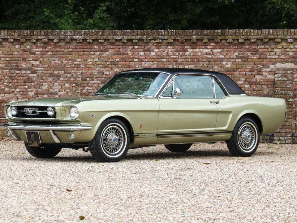 Image 18/50 of Ford Mustang GT (1966)