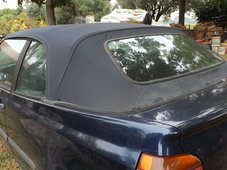 Image 20/50 of Volkswagen Golf III Cabrio 1.6 (1996)