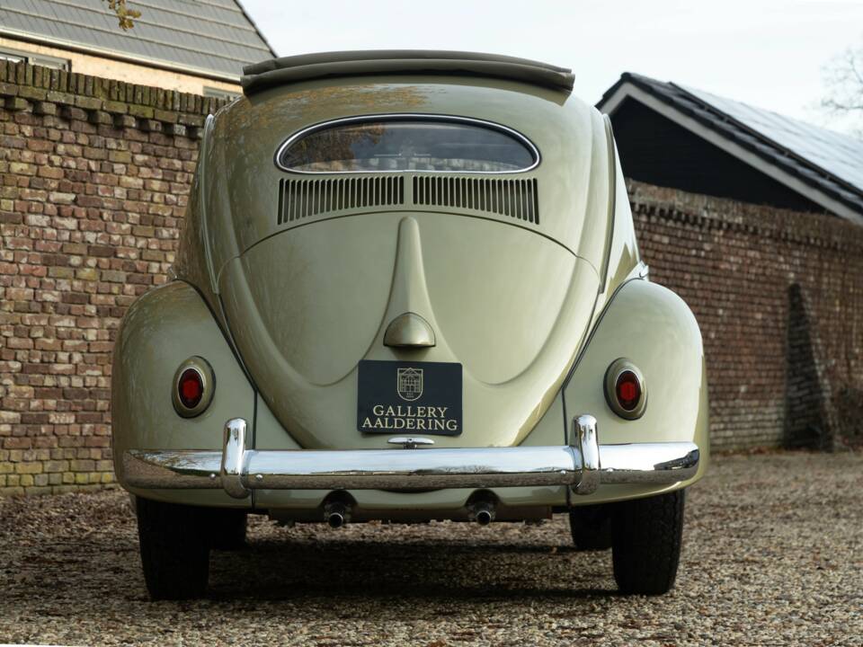 Bild 6/50 von Volkswagen Beetle 1200 Standard "Oval" (1956)