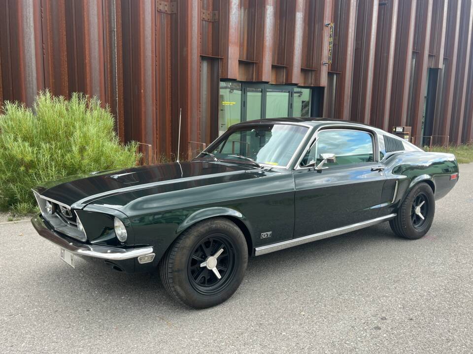 Image 13/49 of Ford Mustang GT 390 (1967)