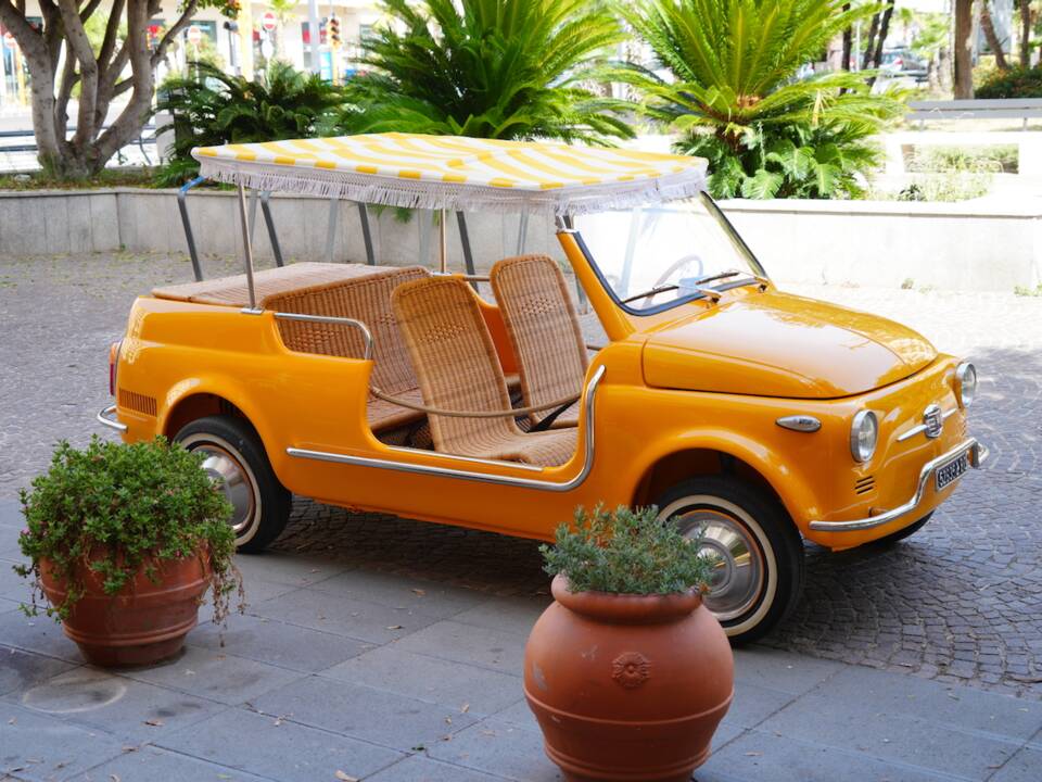 Image 1/10 of FIAT Ghia 500 Jolly (1970)