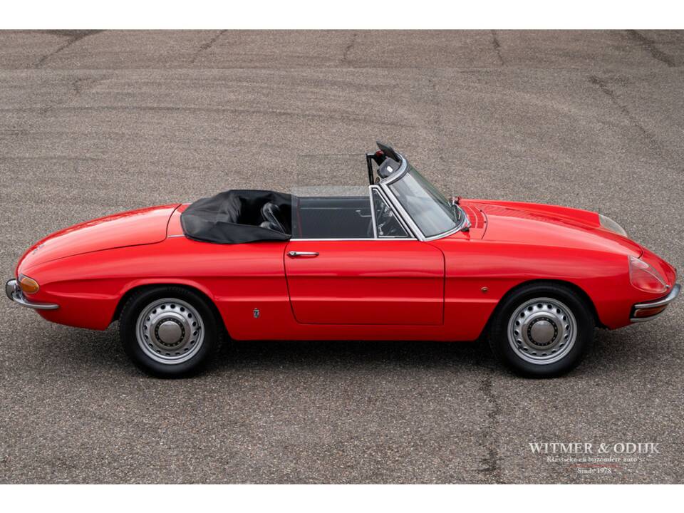 Image 5/29 of Alfa Romeo 1600 Spider Duetto (1967)