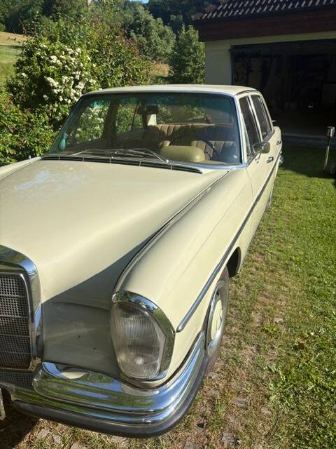 Image 6/52 of Mercedes-Benz 250 SE (1966)