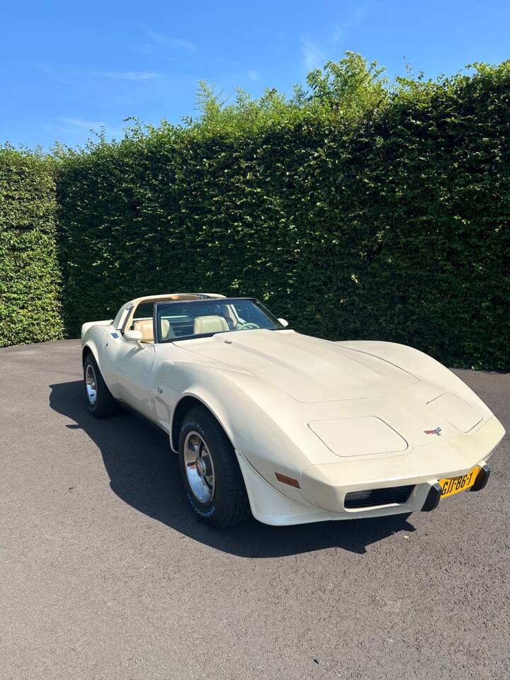 Image 9/21 de Chevrolet Corvette Stingray (1977)