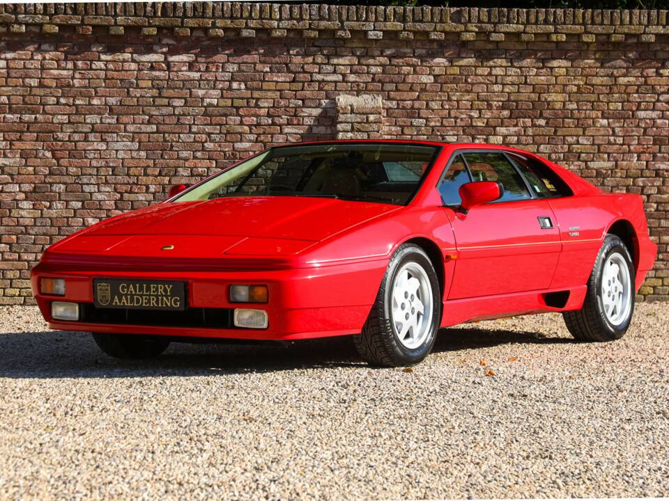 Image 13/50 of Lotus Esprit SE (1992)