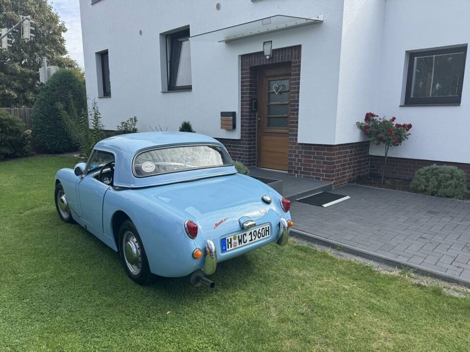 Afbeelding 7/8 van Austin-Healey Sprite Mk I (1960)